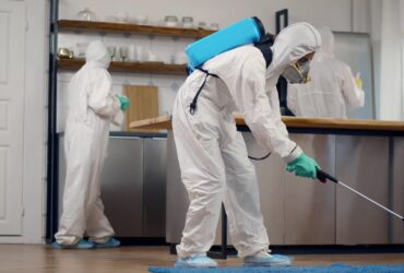 ARTICLE 1-compressed